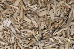 biomass boilers Nettlebed